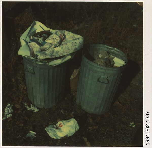 [Two Trash Cans], Walker Evans (American, St. Louis, Missouri 1903–1975 New Haven, Connecticut), Instant internal dye diffusion transfer print (Polaroid SX-70) 