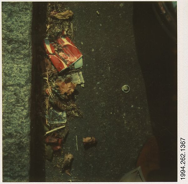 [Gutter Trash: Paper Coke Cup and Leaves], Walker Evans (American, St. Louis, Missouri 1903–1975 New Haven, Connecticut), Instant internal dye diffusion transfer print (Polaroid SX-70) 