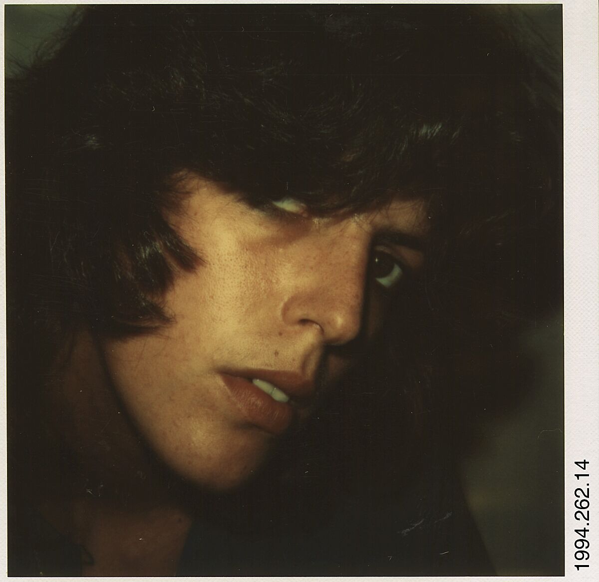 [Ricki Hudeas, Old Lyme, Connecticut], Walker Evans (American, St. Louis, Missouri 1903–1975 New Haven, Connecticut), Instant internal dye diffusion transfer print (Polaroid SX-70) 
