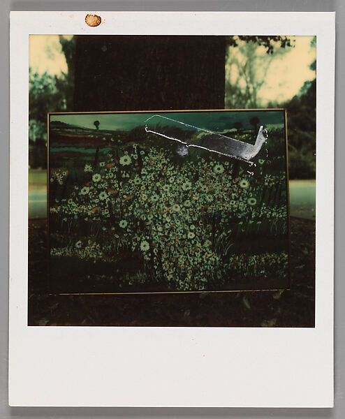 [Painting Under Tree], Walker Evans (American, St. Louis, Missouri 1903–1975 New Haven, Connecticut), Instant internal dye diffusion transfer print (Polaroid SX-70) 