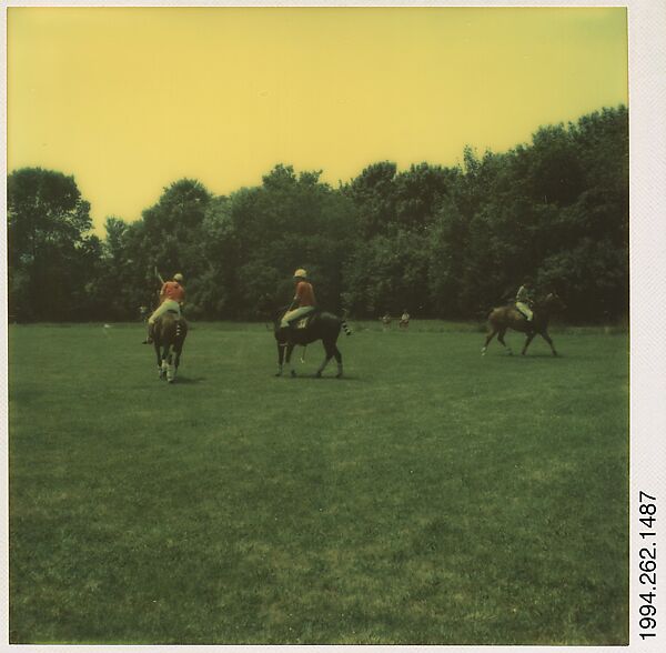 [Polo Match], Walker Evans (American, St. Louis, Missouri 1903–1975 New Haven, Connecticut), Instant internal dye diffusion transfer print (Polaroid SX-70) 
