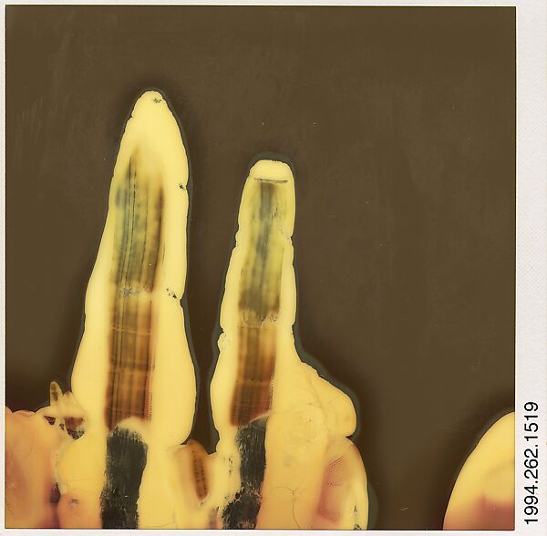 Walker Evans - [Unidentifiable Blurred and Abstract Forms] - The ...