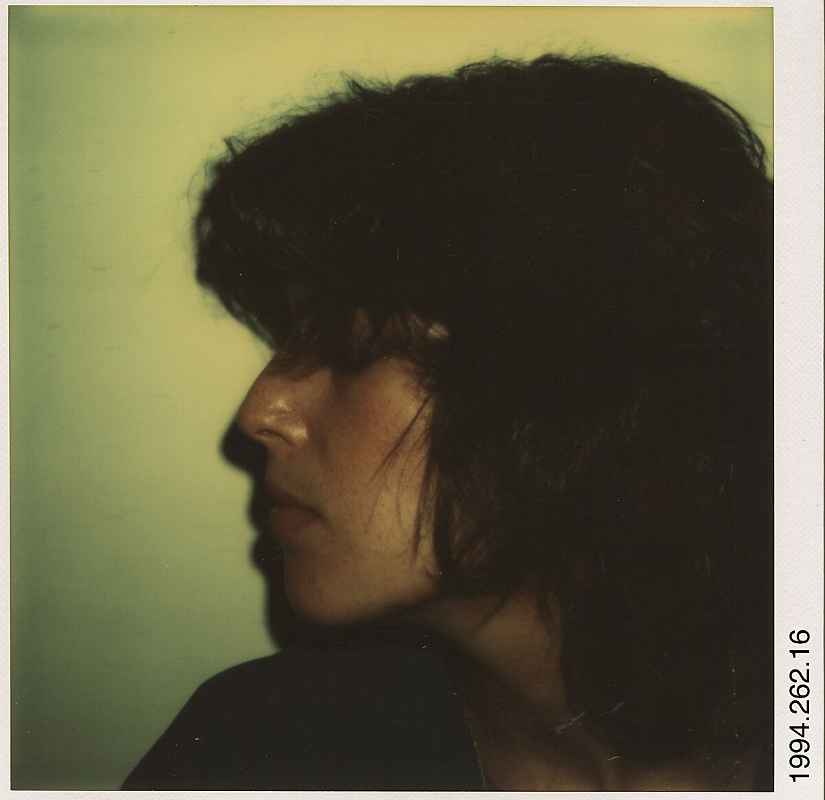 [Ricki Hudeas, Old Lyme, Connecticut], Walker Evans (American, St. Louis, Missouri 1903–1975 New Haven, Connecticut), Instant internal dye diffusion transfer print (Polaroid SX-70) 