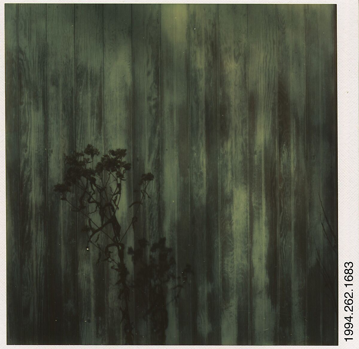 [Walker Evans's Studio Facade, Old Lyme, Connecticut], Walker Evans (American, St. Louis, Missouri 1903–1975 New Haven, Connecticut), Instant internal dye diffusion transfer print (Polaroid SX-70) 