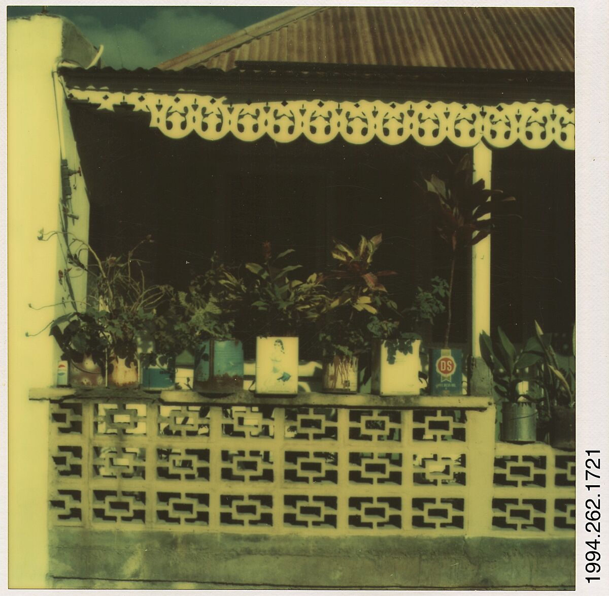 [Porch Plants, Marigot, St. Martin's, French West Indies], Walker Evans (American, St. Louis, Missouri 1903–1975 New Haven, Connecticut), Instant internal dye diffusion transfer print (Polaroid SX-70) 