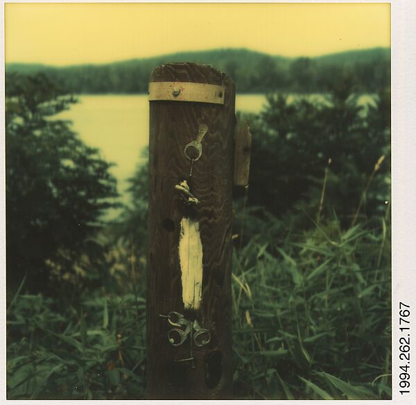 [Lakeside Wooden Stake with Pull Tabs], Walker Evans (American, St. Louis, Missouri 1903–1975 New Haven, Connecticut), Instant internal dye diffusion transfer print (Polaroid SX-70) 