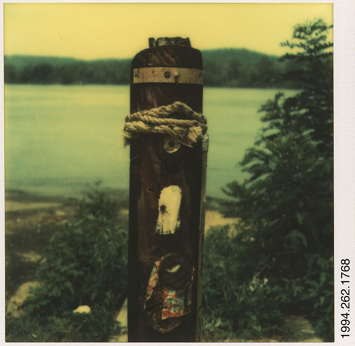 [Lakeside Wooden Stake with Pull Tabs], Walker Evans (American, St. Louis, Missouri 1903–1975 New Haven, Connecticut), Instant internal dye diffusion transfer print (Polaroid SX-70) 