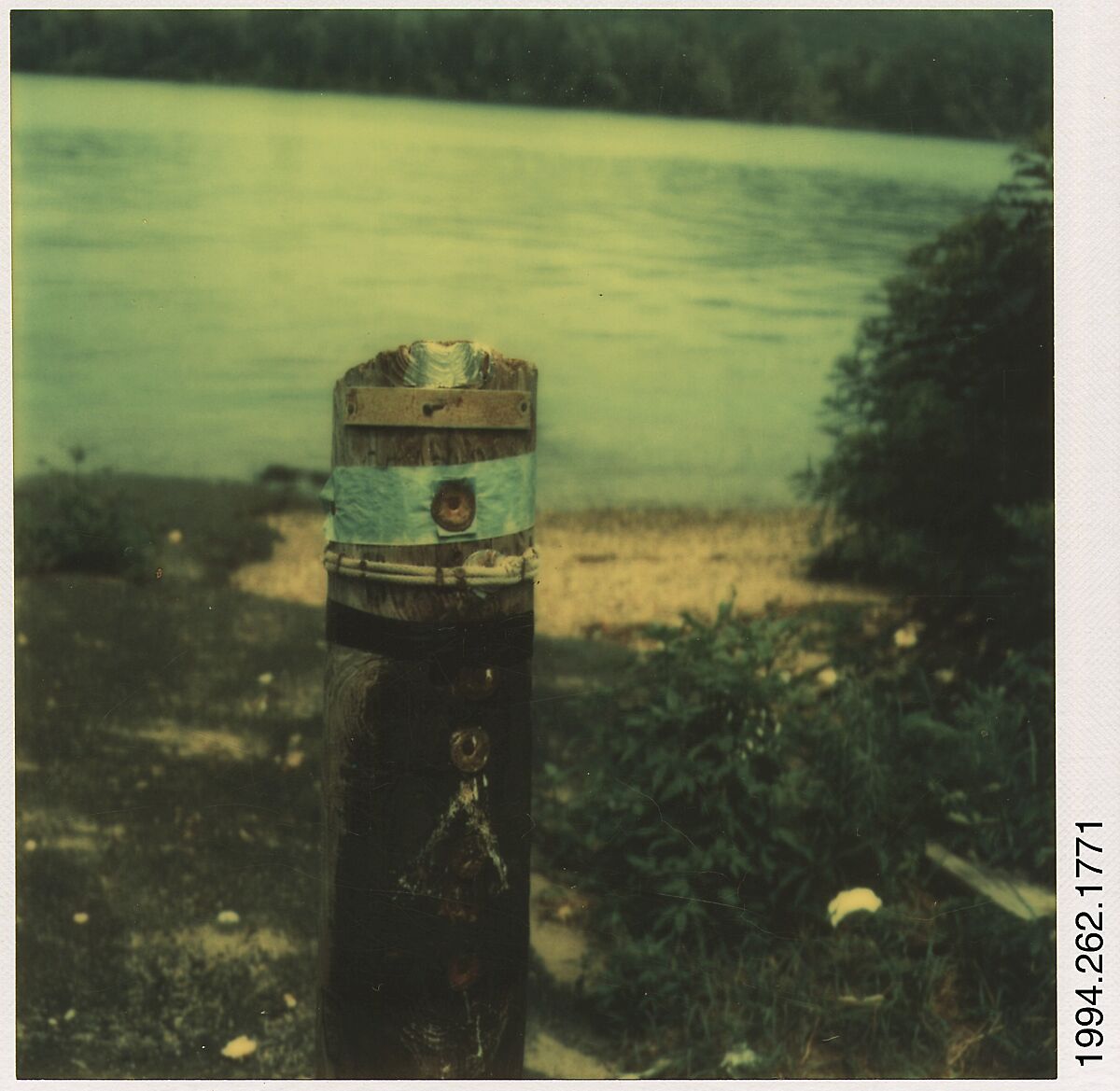 [Lakeside Wooden Stake], Walker Evans (American, St. Louis, Missouri 1903–1975 New Haven, Connecticut), Instant internal dye diffusion transfer print (Polaroid SX-70) 