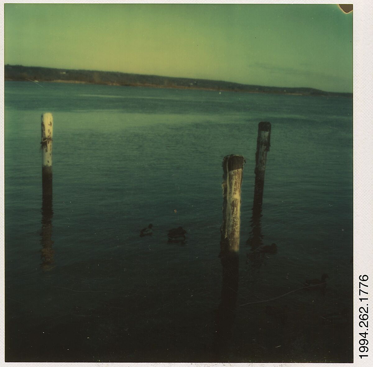 [Dock Pilings], Walker Evans (American, St. Louis, Missouri 1903–1975 New Haven, Connecticut), Instant internal dye diffusion transfer print (Polaroid SX-70) 