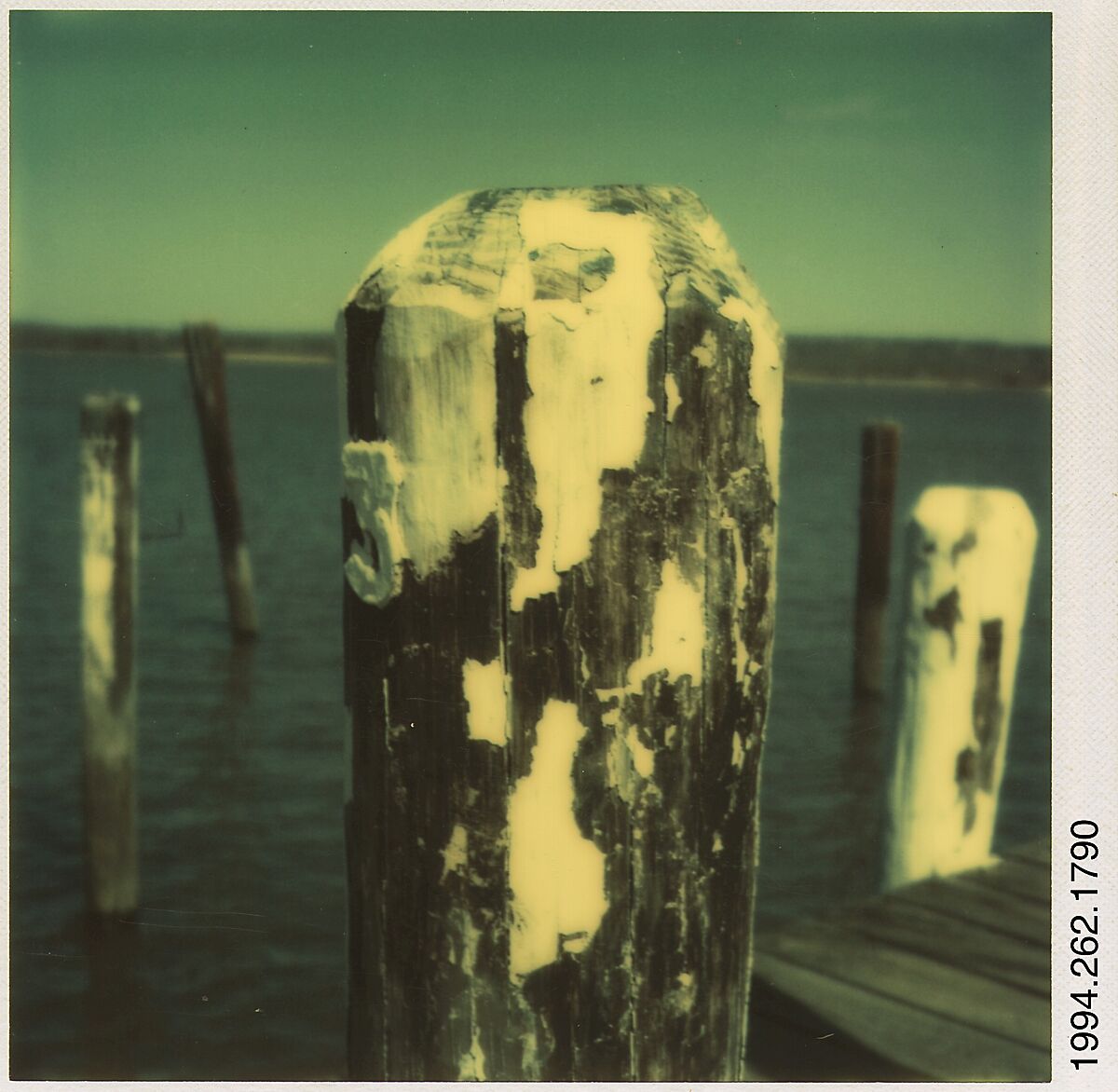 [Dock Piling], Walker Evans (American, St. Louis, Missouri 1903–1975 New Haven, Connecticut), Instant internal dye diffusion transfer print (Polaroid SX-70) 