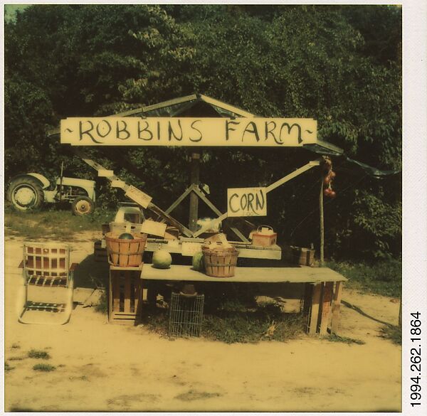 [Roadside Fruit and Vegetable Stand: "Robbins Farm"], Walker Evans (American, St. Louis, Missouri 1903–1975 New Haven, Connecticut), Instant internal dye diffusion transfer print (Polaroid SX-70) 