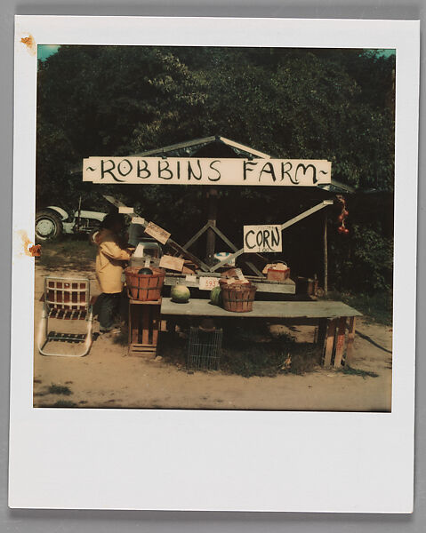 [Roadside Fruit and Vegetable Stand: "Robbins Farm"], Walker Evans (American, St. Louis, Missouri 1903–1975 New Haven, Connecticut), Instant internal dye diffusion transfer print (Polaroid SX-70) 