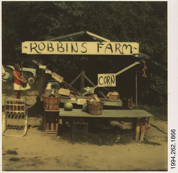 [Roadside Fruit and Vegetable Stand: "Robbins Farm"], Walker Evans (American, St. Louis, Missouri 1903–1975 New Haven, Connecticut), Instant internal dye diffusion transfer print (Polaroid SX-70) 
