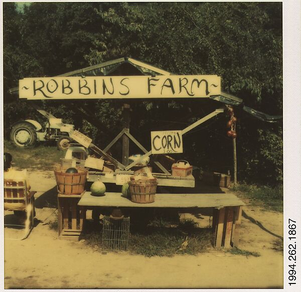 [Roadside Fruit and Vegetable Stand: "Robbins Farm"], Walker Evans (American, St. Louis, Missouri 1903–1975 New Haven, Connecticut), Instant internal dye diffusion transfer print (Polaroid SX-70) 