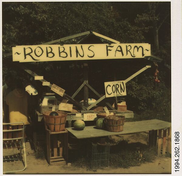 [Roadside Fruit and Vegetable Stand: "Robbins Farm"], Walker Evans (American, St. Louis, Missouri 1903–1975 New Haven, Connecticut), Instant internal dye diffusion transfer print (Polaroid SX-70) 