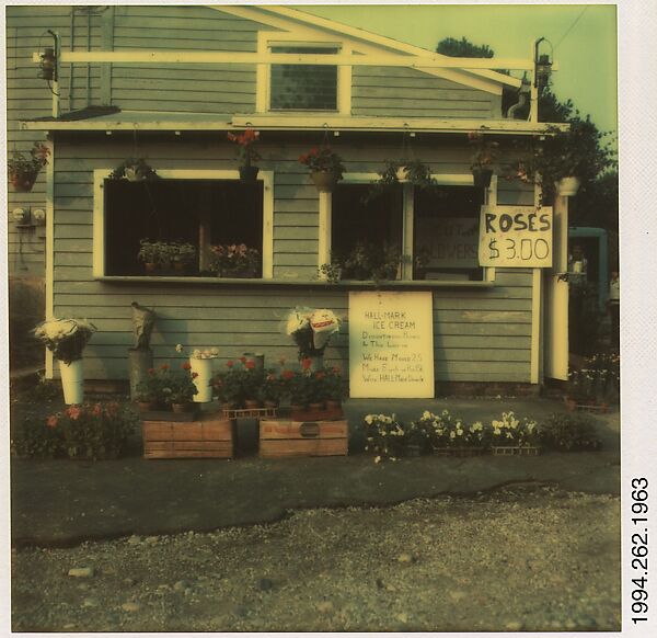[Flower Shop], Walker Evans (American, St. Louis, Missouri 1903–1975 New Haven, Connecticut), Instant internal dye diffusion transfer print (Polaroid SX-70) 