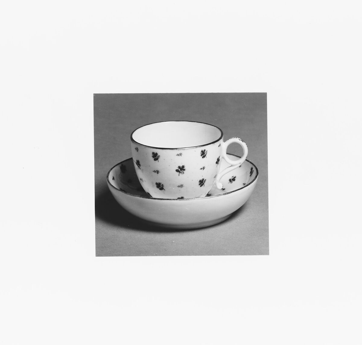 Cup and Saucer, Porcelain, French, possibly