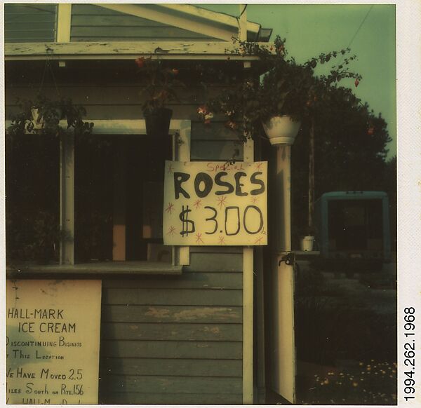 [Flower Shop Sign: "ROSES $3.00"], Walker Evans (American, St. Louis, Missouri 1903–1975 New Haven, Connecticut), Instant internal dye diffusion transfer print (Polaroid SX-70) 