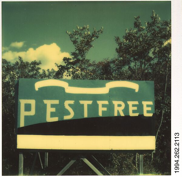 [Billboard for "Pestfree" Exterminator], Walker Evans (American, St. Louis, Missouri 1903–1975 New Haven, Connecticut), Instant internal dye diffusion transfer print (Polaroid SX-70) 