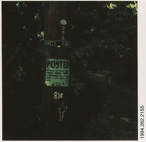 [Signs on Telephone Pole], Walker Evans (American, St. Louis, Missouri 1903–1975 New Haven, Connecticut), Instant internal dye diffusion transfer print (Polaroid SX-70) 