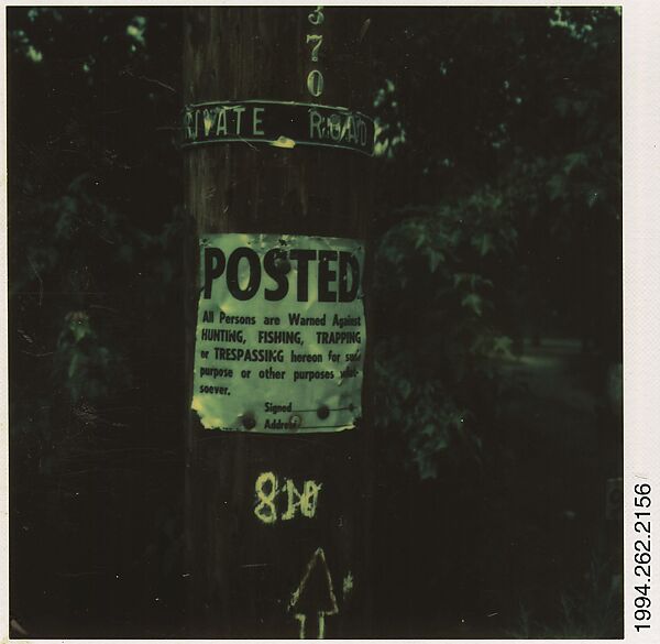 [Signs on Telephone Pole], Walker Evans (American, St. Louis, Missouri 1903–1975 New Haven, Connecticut), Instant internal dye diffusion transfer print (Polaroid SX-70) 