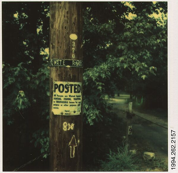 [Signs on Telephone Pole], Walker Evans (American, St. Louis, Missouri 1903–1975 New Haven, Connecticut), Instant internal dye diffusion transfer print (Polaroid SX-70) 