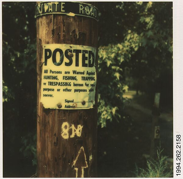 [Signs on Telephone Pole], Walker Evans (American, St. Louis, Missouri 1903–1975 New Haven, Connecticut), Instant internal dye diffusion transfer print (Polaroid SX-70) 