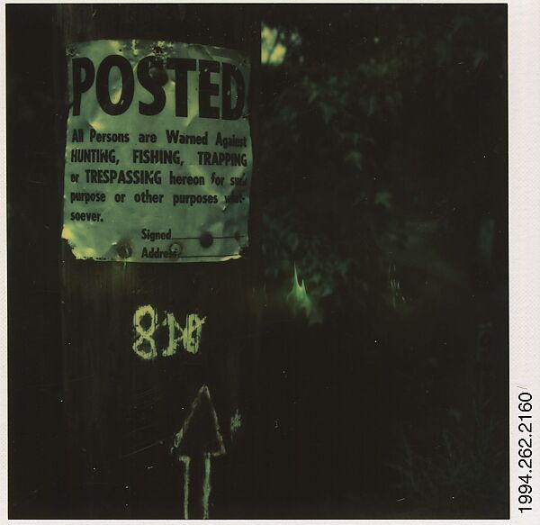 [Signs on Telephone Pole], Walker Evans (American, St. Louis, Missouri 1903–1975 New Haven, Connecticut), Instant internal dye diffusion transfer print (Polaroid SX-70) 