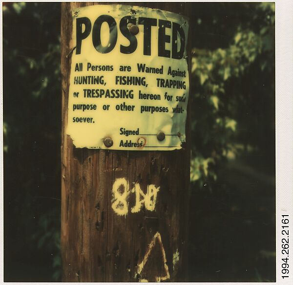 [Signs on Telephone Pole], Walker Evans (American, St. Louis, Missouri 1903–1975 New Haven, Connecticut), Instant internal dye diffusion transfer print (Polaroid SX-70) 