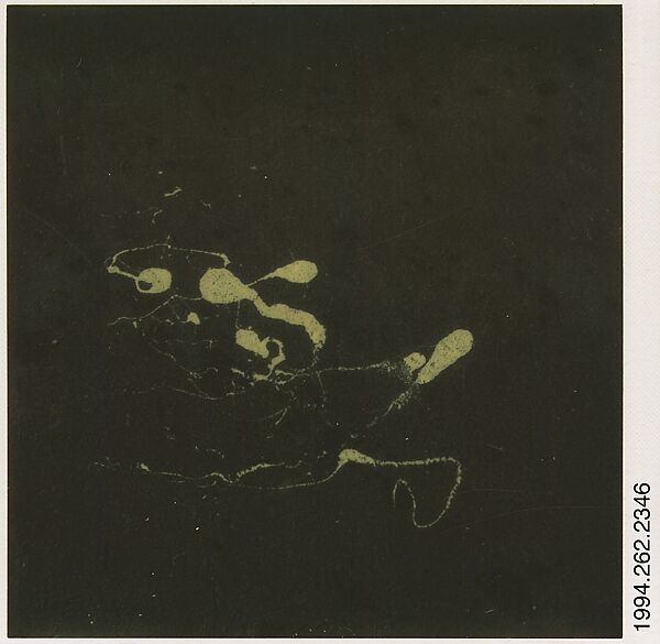 [Paint Splatterings on Street], Walker Evans (American, St. Louis, Missouri 1903–1975 New Haven, Connecticut), Instant internal dye diffusion transfer print (Polaroid SX-70) 
