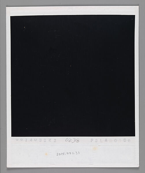 [Charlee Brodsky, Martha's Vineyard, Massachusetts], Walker Evans (American, St. Louis, Missouri 1903–1975 New Haven, Connecticut), Instant internal dye diffusion transfer print (Polaroid SX-70)
