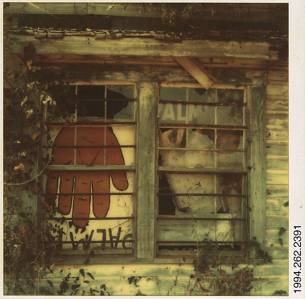 Walker Evans [Palmist Building Window, Hale County, Alabama] The