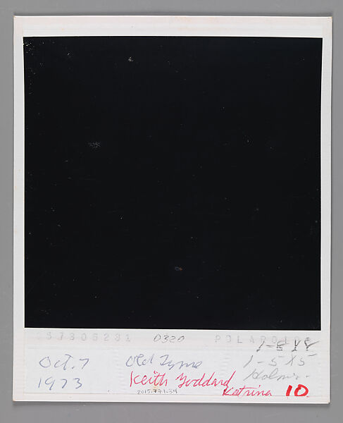 [Keith and Katrina Godard, Old Lyme, Connecticut], Walker Evans (American, St. Louis, Missouri 1903–1975 New Haven, Connecticut), Instant internal dye diffusion transfer print (Polaroid SX-70)