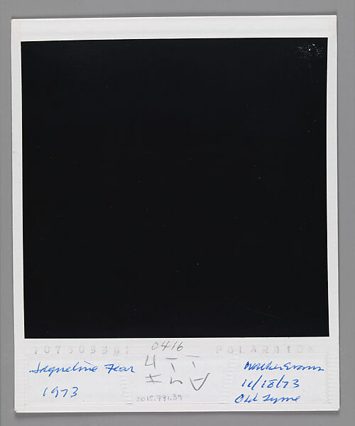 [Jacqueline Fear, Old Lyme, Connecticut], Walker Evans (American, St. Louis, Missouri 1903–1975 New Haven, Connecticut), Instant internal dye diffusion transfer print (Polaroid SX-70)