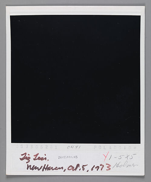[Liz Lesy, New Haven, Connecticut], Walker Evans (American, St. Louis, Missouri 1903–1975 New Haven, Connecticut), Instant internal dye diffusion transfer print (Polaroid SX-70)