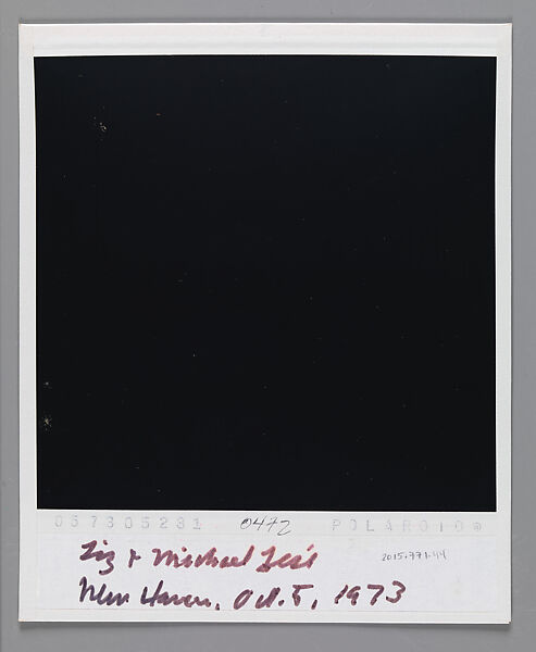 [Liz and Michael Lesy, New Haven, Connecticut], Walker Evans (American, St. Louis, Missouri 1903–1975 New Haven, Connecticut), Instant internal dye diffusion transfer print (Polaroid SX-70)