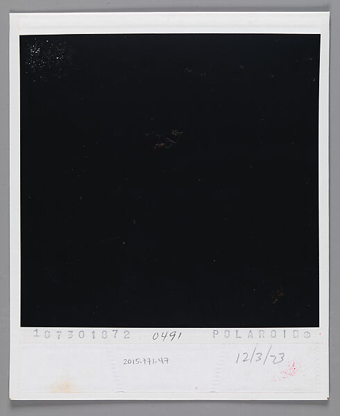 [Ellen Rosenman and William Ferris], Walker Evans (American, St. Louis, Missouri 1903–1975 New Haven, Connecticut), Instant internal dye diffusion transfer print (Polaroid SX-70)