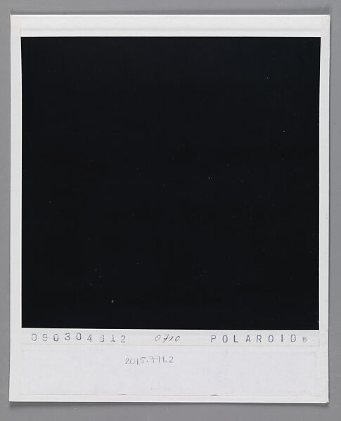 [Walker Evans's 70th Birthday Party, Old Lyme, Connecticut: Michael Lesy, Liz Lesy, and Mary Knollenberg], Walker Evans (American, St. Louis, Missouri 1903–1975 New Haven, Connecticut), Instant internal dye diffusion transfer print (Polaroid SX-70)