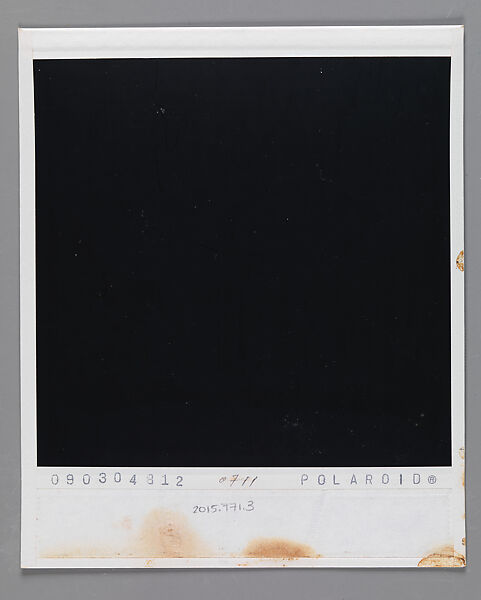 [Walker Evans's 70th Birthday Party, Old Lyme, Connecticut: Michael Lesy, Liz Lesy, Jerry Thompson, Mary Knollenberg], Walker Evans (American, St. Louis, Missouri 1903–1975 New Haven, Connecticut), Instant internal dye diffusion transfer print (Polaroid SX-70)