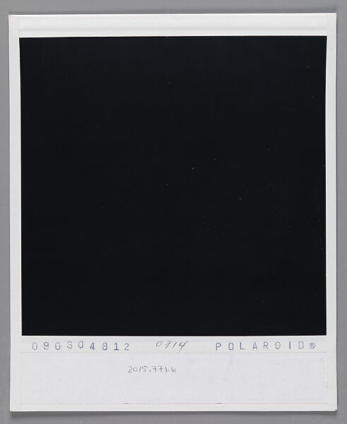 [Walker Evans's 70th Birthday Party, Old Lyme, Connecticut: Michael Lesy, Liz Lesy, Jerry Thompson, Mary Knollenberg, Jane Mayall, and Leslie Katz], Walker Evans (American, St. Louis, Missouri 1903–1975 New Haven, Connecticut), Instant internal dye diffusion transfer print (Polaroid SX-70)