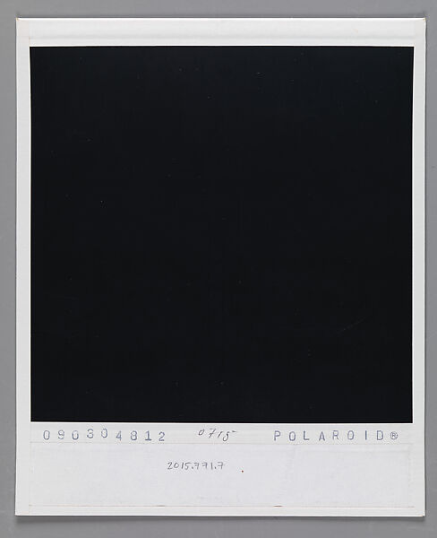 [Walker Evans's 70th Birthday Party, Old Lyme, Connecticut: Michael Lesy, Liz Lesy, Jerry Thompson, Leslie Katz, and Jane Mayall], Walker Evans (American, St. Louis, Missouri 1903–1975 New Haven, Connecticut), Instant internal dye diffusion transfer print (Polaroid SX-70)