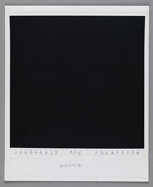 [Walker Evans's 70th Birthday Party, Old Lyme, Connecticut: Jerry Thompson, Leslie Katz, Michael Lesy, and Mary Knollenberg], Walker Evans (American, St. Louis, Missouri 1903–1975 New Haven, Connecticut), Instant internal dye diffusion transfer print (Polaroid SX-70)