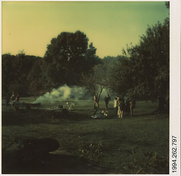 [Yale Art Department Barbecue, Bethany, Connecticut], Walker Evans (American, St. Louis, Missouri 1903–1975 New Haven, Connecticut), Instant internal dye diffusion transfer print (Polaroid SX-70) 