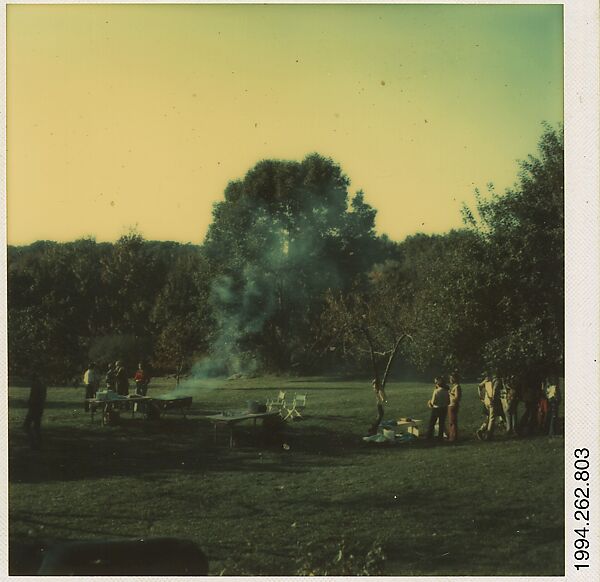 [Yale Art Department Barbecue, Bethany, Connecticut], Walker Evans (American, St. Louis, Missouri 1903–1975 New Haven, Connecticut), Instant internal dye diffusion transfer print (Polaroid SX-70) 