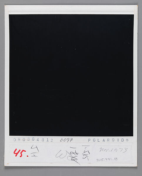 [Liz Lesy, Old Lyme, Connecticut], Walker Evans (American, St. Louis, Missouri 1903–1975 New Haven, Connecticut), Instant internal dye diffusion transfer print (Polaroid SX-70)