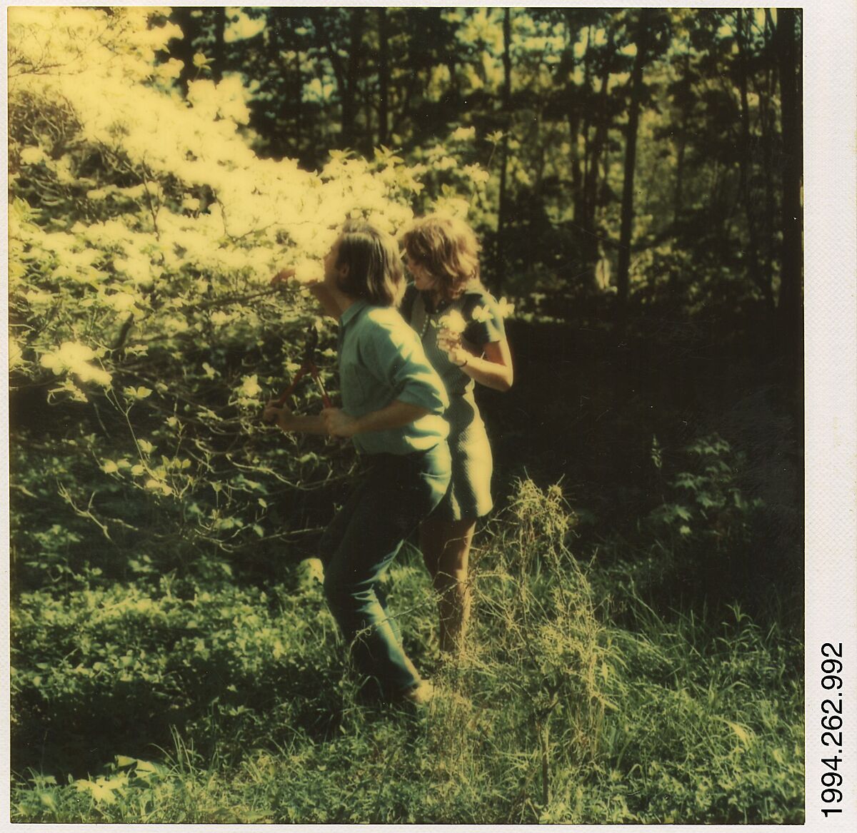 [Jerry Thompson and Jane Corrigan Pruning a Tree], Walker Evans (American, St. Louis, Missouri 1903–1975 New Haven, Connecticut), Instant internal dye diffusion transfer print (Polaroid SX-70) 