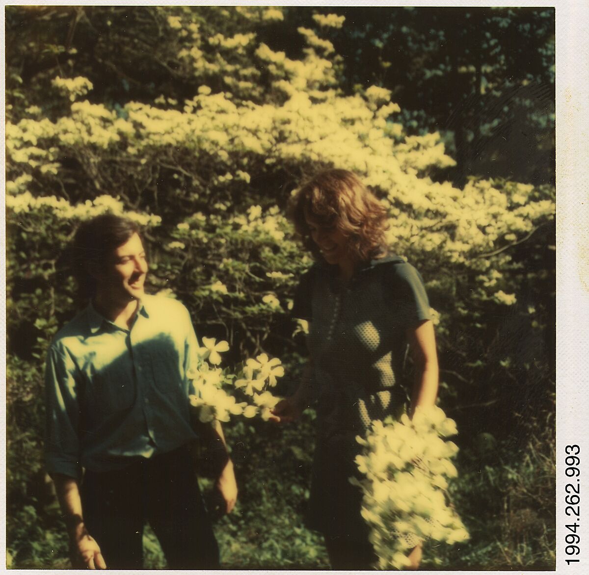 [Jerry Thompson and Jane Corrigan Pruning a Tree], Walker Evans (American, St. Louis, Missouri 1903–1975 New Haven, Connecticut), Instant internal dye diffusion transfer print (Polaroid SX-70) 