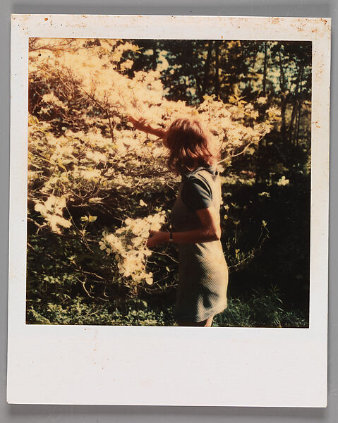 [Jane Corrigan Pruning a Tree], Walker Evans (American, St. Louis, Missouri 1903–1975 New Haven, Connecticut), Instant internal dye diffusion transfer print (Polaroid SX-70) 