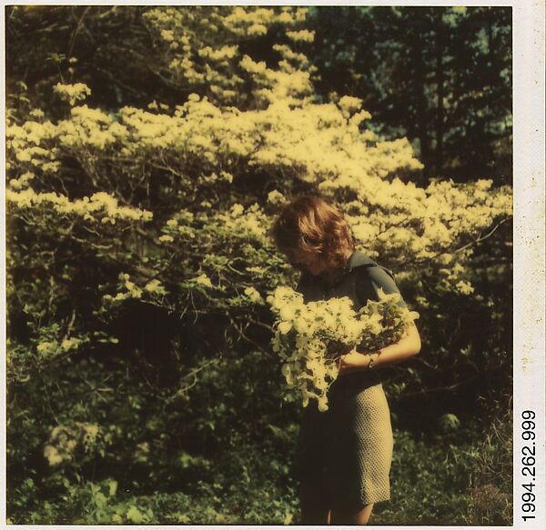 Walker Evans | [Jane Corrigan Pruning a Tree] | The Metropolitan Museum ...