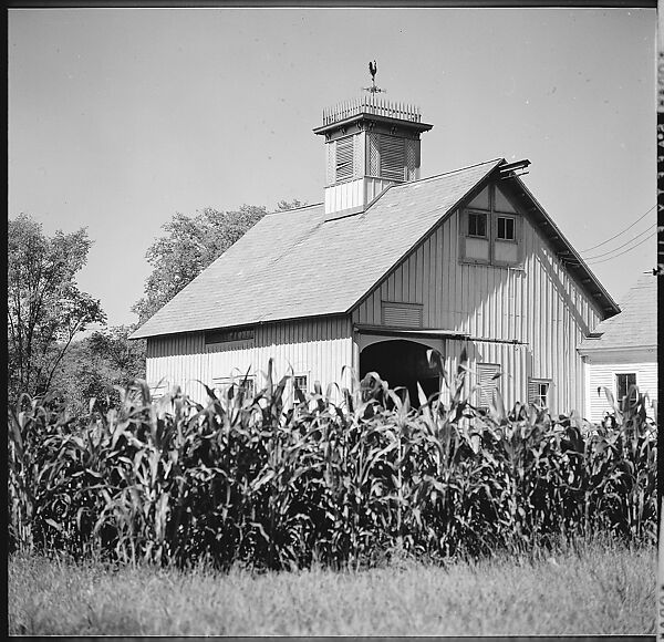 [141 Architectural Studies of Pennsylvania Station, New York City, Including Four Rural Studies of a Barn, Commissioned by Life Magazine for "America's Heritage of Great Architecture is Doomed...It Must be Saved", Published July 5, 1963], Walker Evans (American, St. Louis, Missouri 1903–1975 New Haven, Connecticut), Film negative